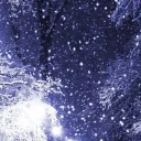〈 The Lily Valley 〉 banner