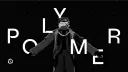 Polymer Labs banner