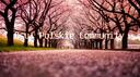 Polskie Community osu! Banner