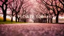 Polskie Community osu! banner