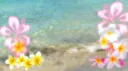 eternos  ˖°🐠𓇼 banner