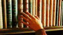 Mocks and 🐔 Bookclub banner