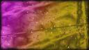 𝔹𝕝𝕖𝕒𝕔𝕙 𝕊𝕙𝕒𝕥𝕥𝕖𝕣𝕡𝕠𝕚𝕟𝕥 Discord server banner