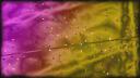 𝔹𝕝𝕖𝕒𝕔𝕙 𝕊𝕙𝕒𝕥𝕥𝕖𝕣𝕡𝕠𝕚𝕟𝕥 Banner