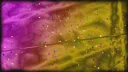 𝔹𝕝𝕖𝕒𝕔𝕙 𝕊𝕙𝕒𝕥𝕥𝕖𝕣𝕡𝕠𝕚𝕟𝕥 server banner