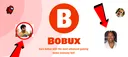 Bobux#4314 banner