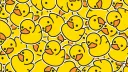 𝐀𝐤 𝐋𝐞𝐚𝐤𝐬 banner