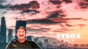Tysox banner