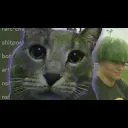Bopcord banner
