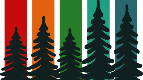 PINE Community banner