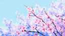 Waifu.Works banner