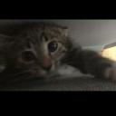 clorox's server Banner