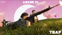 | TEAF | Turkish Armed Forces banner