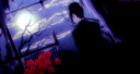 Vynal banner