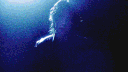 ﹫: dwaekki. ˀ ⸝⸝ ％ server banner