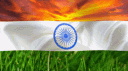 BABU HOUSE banner