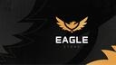 Eagle Store Banner