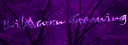 banner