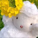 Xiao’s Sheep Cult banner
