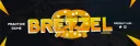 Bretzel Customs 🥨 banner