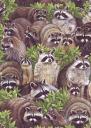 Trash Pandas Banner
