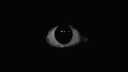 👁|“ᴏᴘᴘᴢ’ꜱ ᴄᴏᴍᴍᴜɴɪᴛʏ”|👁 banner
