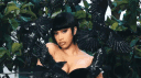 Bardi Empire banner