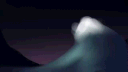Woodwalkers: Gestaltenberatung banner
