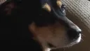 C3NT3R banner