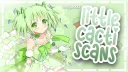 Little Cacti banner