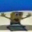 .: Balto’s Recluse :. Banner