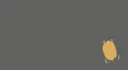 Shoebill coin banner