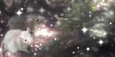 hobbit hole ! Banner
