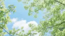 Tony's Hideout server banner