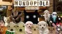 Mundo Piola banner