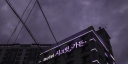 nyctophilia server banner