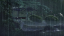 ⸝⸝ rain ⸝⸝ server banner