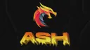 ASH 1881 ∞ banner