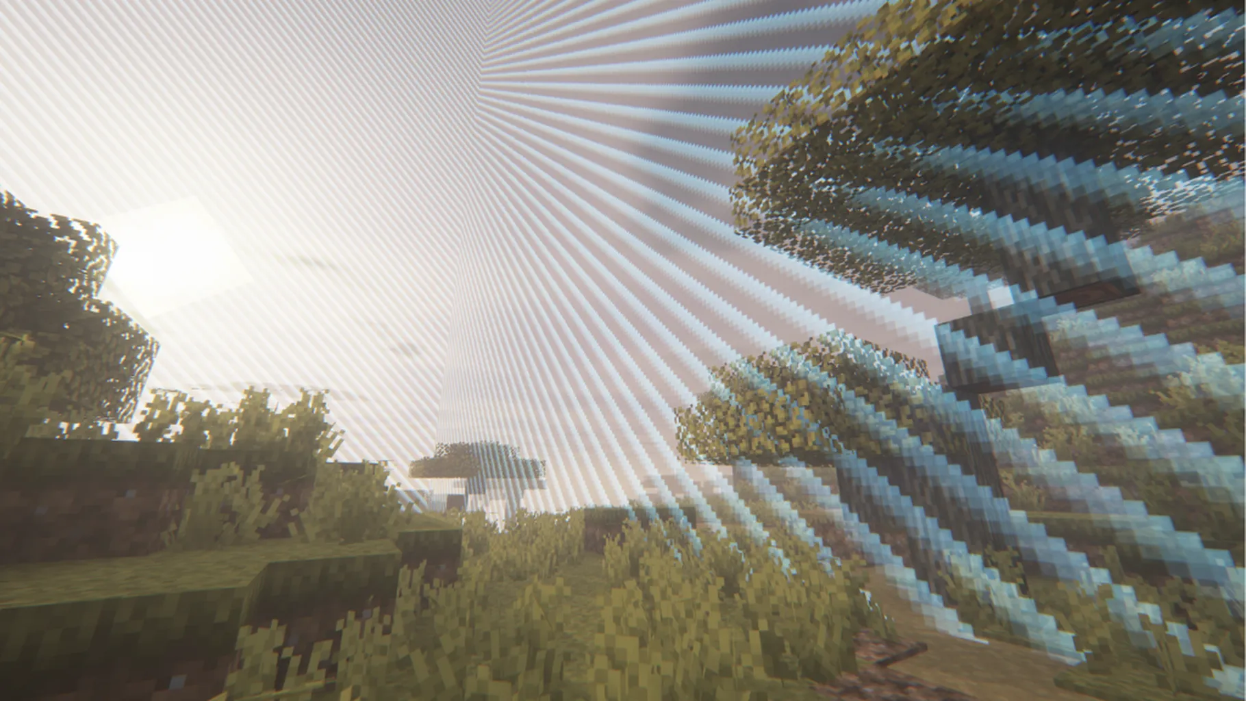 MCYT#2260 banner
