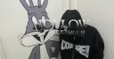Hollow banner