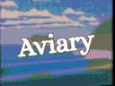 Aviary! Discord server banner