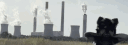 banner