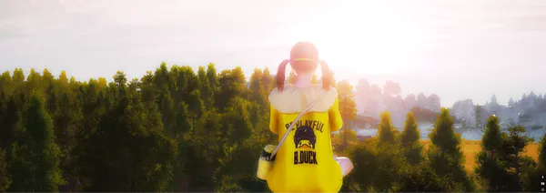banner