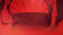 Bull Store banner
