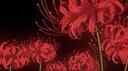 Vermillion Banner