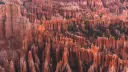 Plonk It Discord server banner