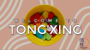 TONG'XING server banner
