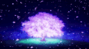 The Tribe 18+ Discord server banner