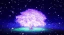 The Tribe 18+ server banner