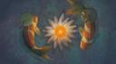 Koi Pond Banner